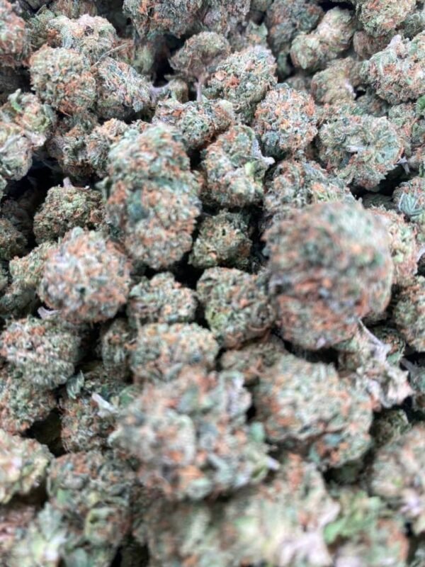 K2 - KUSH - Image 5