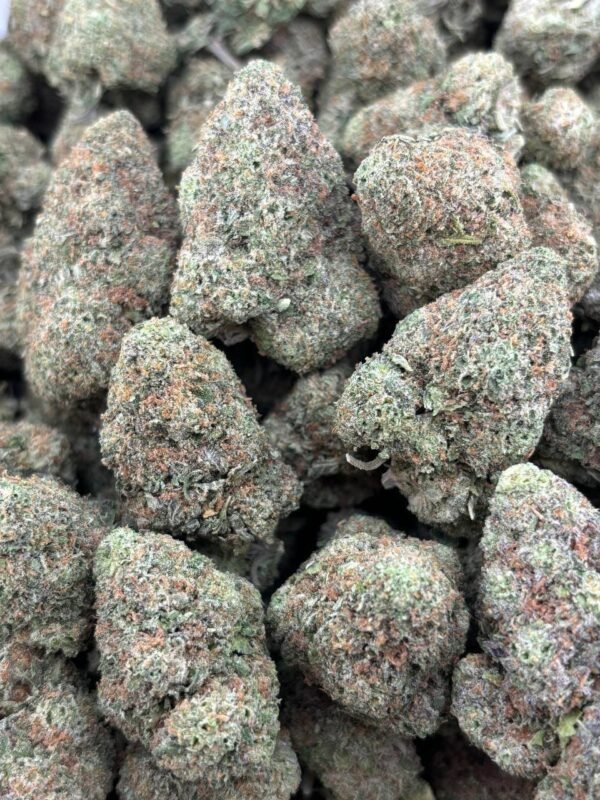 K2 - KUSH - Image 3