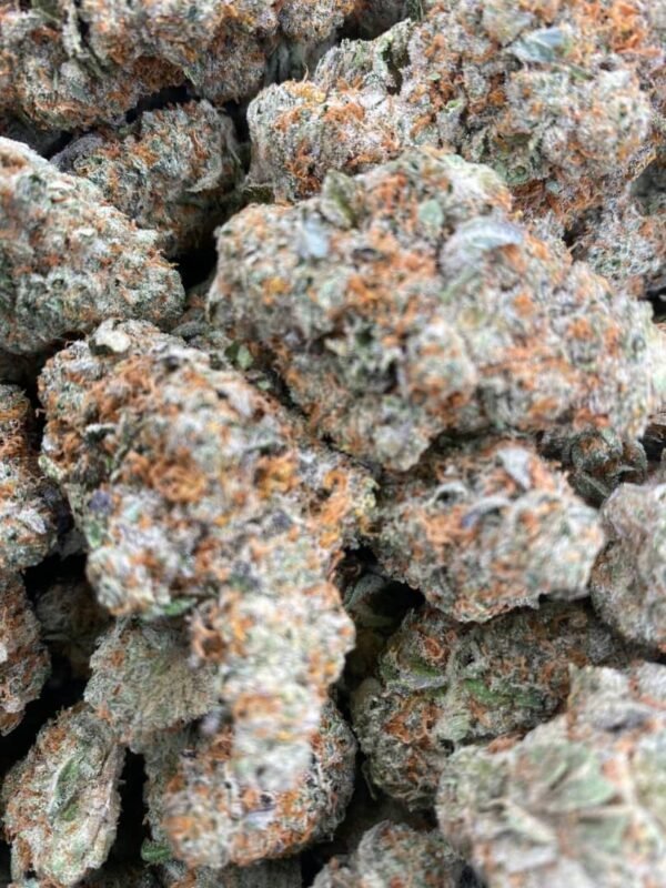 K2 - KUSH - Image 4